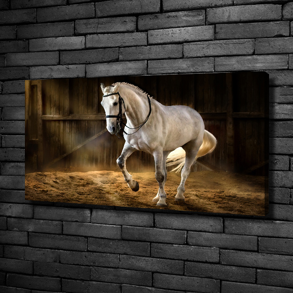 Canvas schilderij Wit paard in de stal