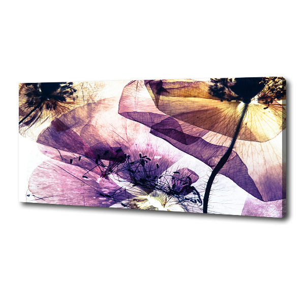 Canvas foto Droge klaprozen