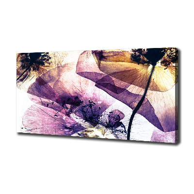 Canvas foto Droge klaprozen