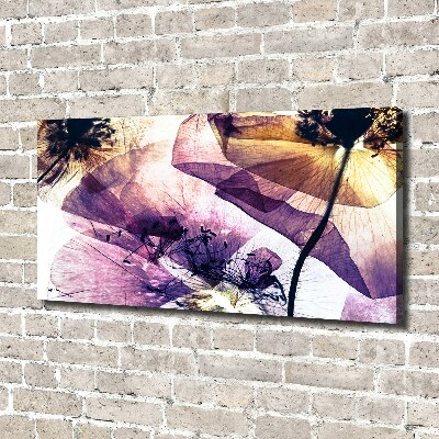 Canvas foto Droge klaprozen