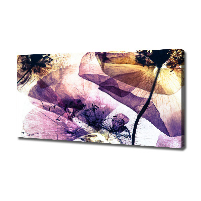 Canvas foto Droge klaprozen