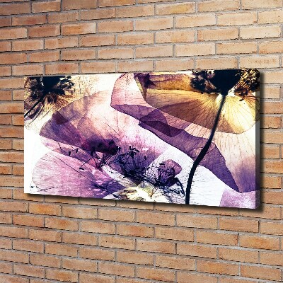 Canvas foto Droge klaprozen