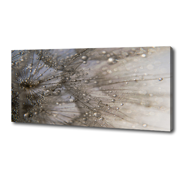 Schilderij op canvas Paardenbloemzaden