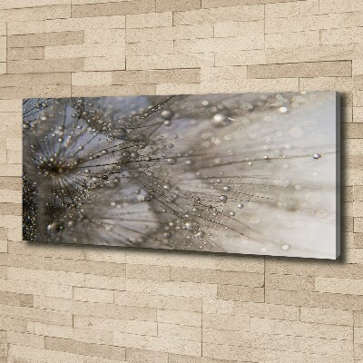 Schilderij op canvas Paardenbloemzaden