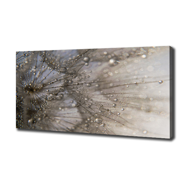 Schilderij op canvas Paardenbloemzaden