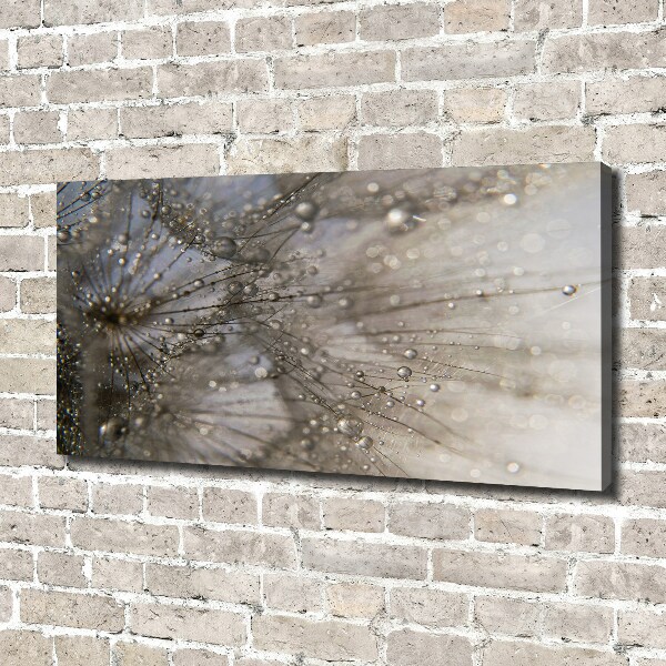 Schilderij op canvas Paardenbloemzaden