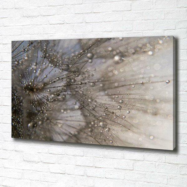 Schilderij op canvas Paardenbloemzaden