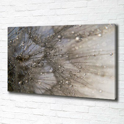 Schilderij op canvas Paardenbloemzaden