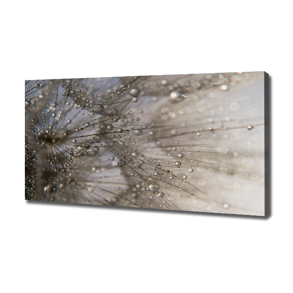 Schilderij op canvas Paardenbloemzaden