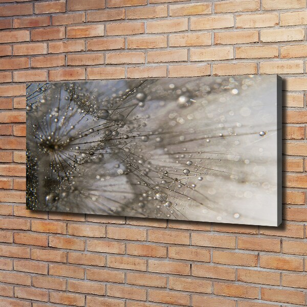 Schilderij op canvas Paardenbloemzaden