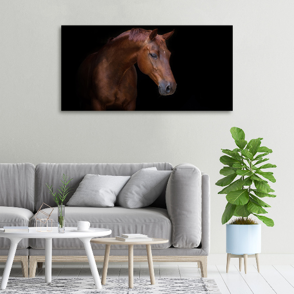 Schilderij op canvas Bruin paard