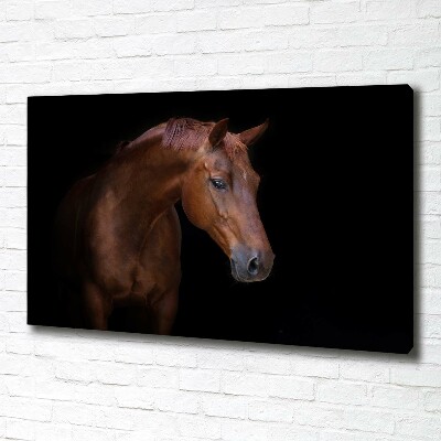 Schilderij op canvas Bruin paard