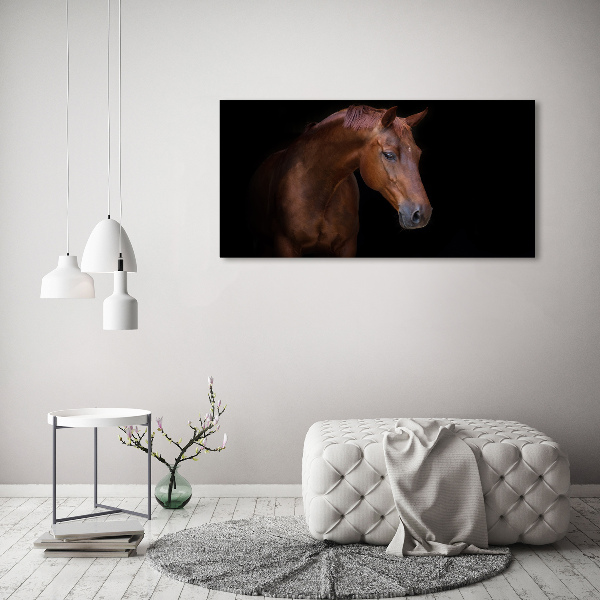 Schilderij op canvas Bruin paard