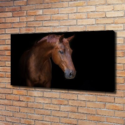 Schilderij op canvas Bruin paard