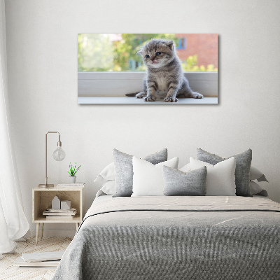 Foto canvas Een klein katje bij het raam