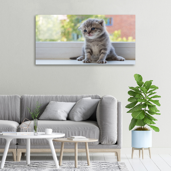 Foto canvas Een klein katje bij het raam