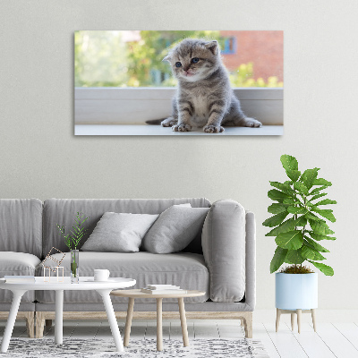 Foto canvas Een klein katje bij het raam
