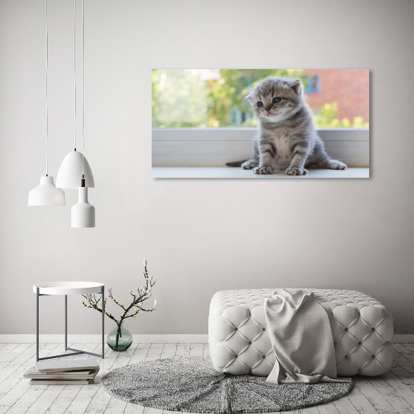 Foto canvas Een klein katje bij het raam