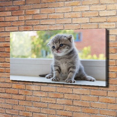 Foto canvas Een klein katje bij het raam