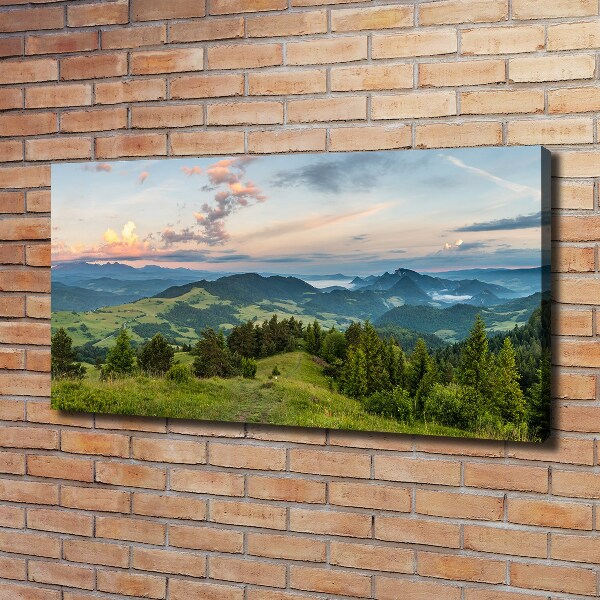 Canvas schilderij Panorama van het Pieninygebergte