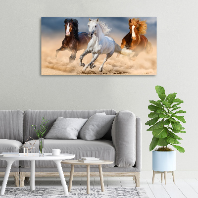 Foto op canvas Paarden in de woestijn