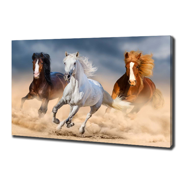 Foto op canvas Paarden in de woestijn