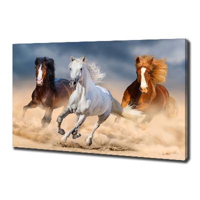Foto op canvas Paarden in de woestijn
