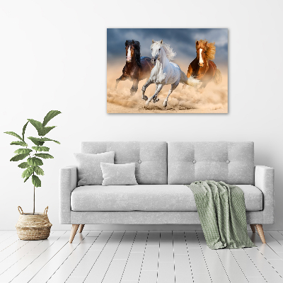 Foto op canvas Paarden in de woestijn