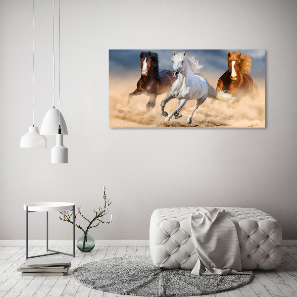Foto op canvas Paarden in de woestijn