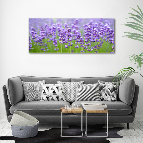 Foto canvas Lavendel