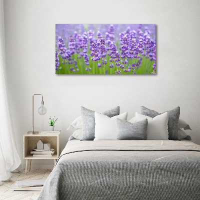 Foto canvas Lavendel