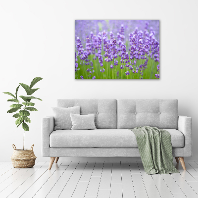 Foto canvas Lavendel