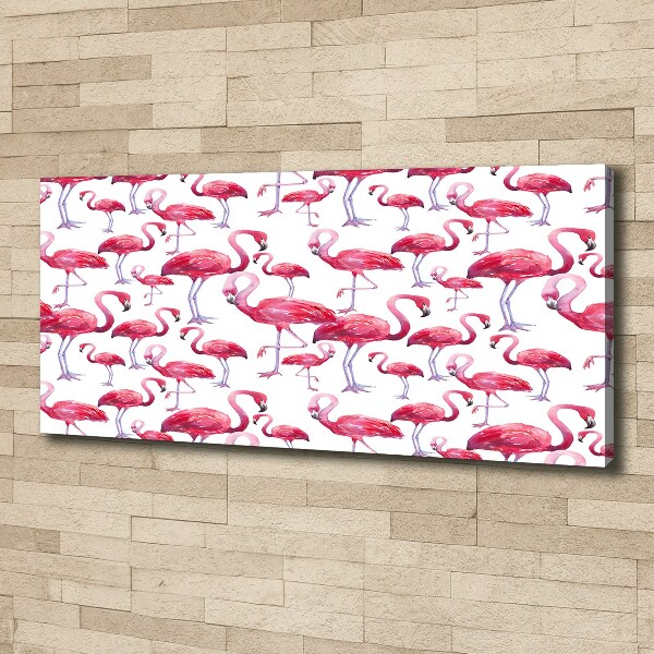 Foto op canvas Flamingo's