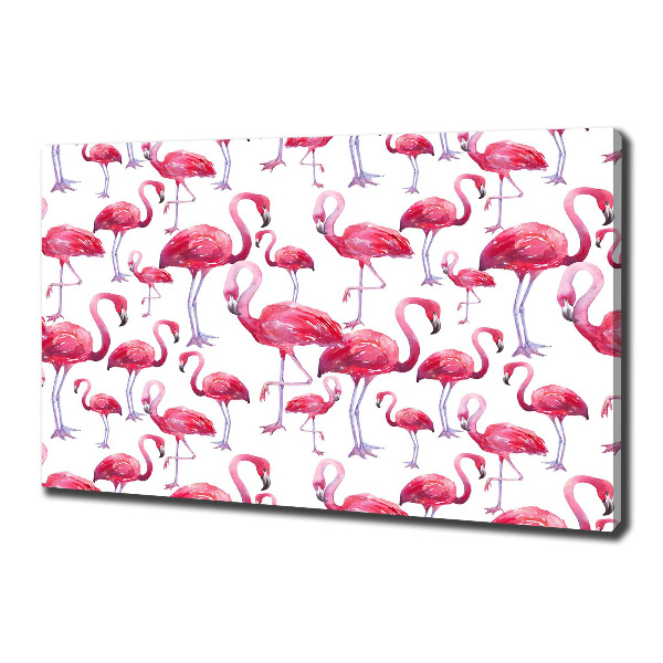 Foto op canvas Flamingo's