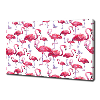 Foto op canvas Flamingo's