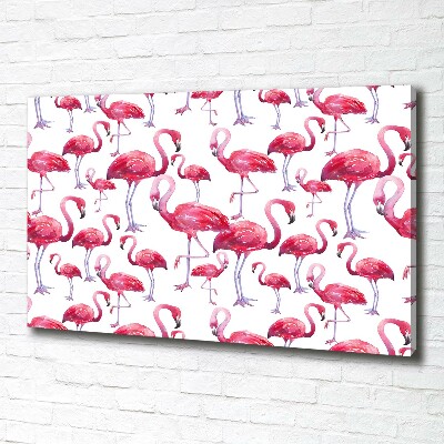 Foto op canvas Flamingo's