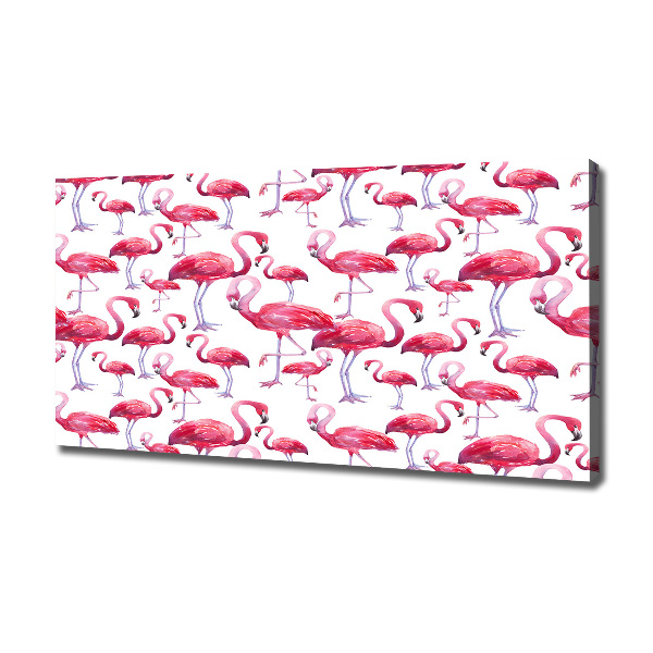 Foto op canvas Flamingo's