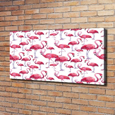 Foto op canvas Flamingo's