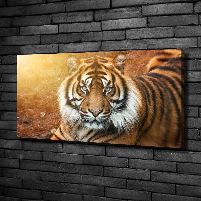 Schilderij op canvas Bengaalse tijger