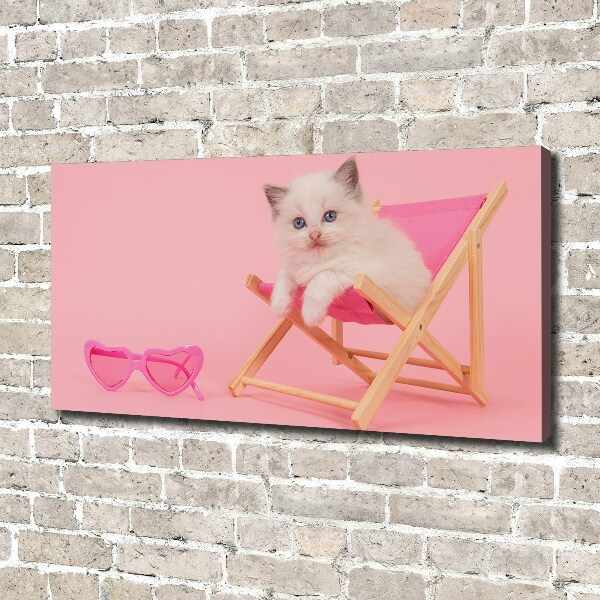 Foto canvas Kat op een ligstoel