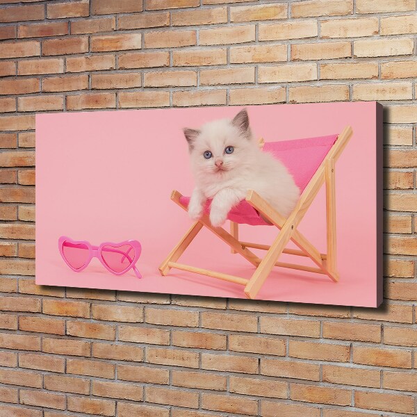 Foto canvas Kat op een ligstoel