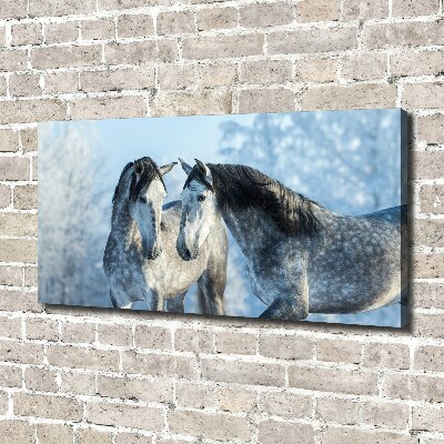 Foto op canvas Grijze paarden in de winter
