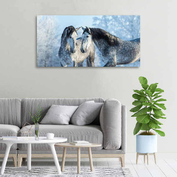 Foto op canvas Grijze paarden in de winter