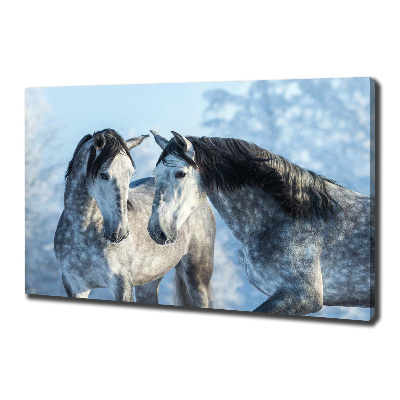 Foto op canvas Grijze paarden in de winter