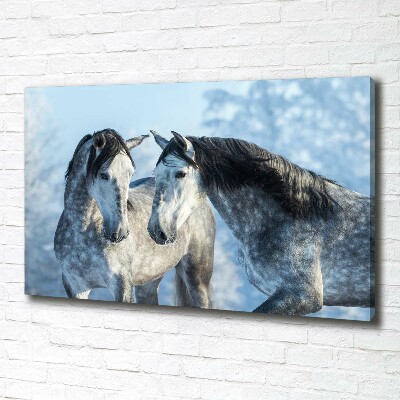 Foto op canvas Grijze paarden in de winter