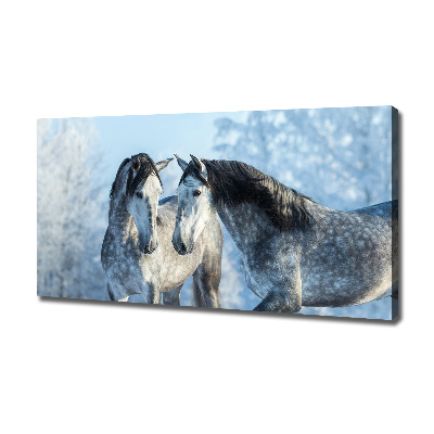 Foto op canvas Grijze paarden in de winter