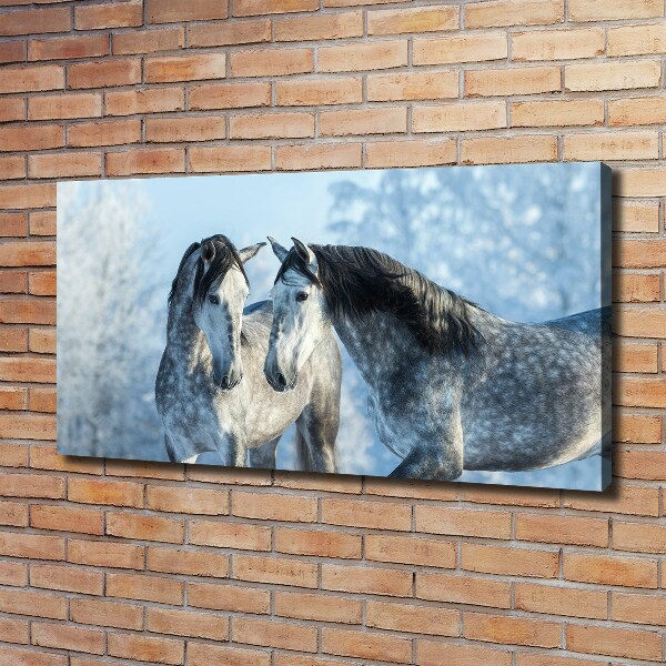 Foto op canvas Grijze paarden in de winter