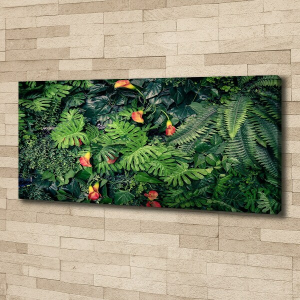 Schilderij op canvas Exotische jungle