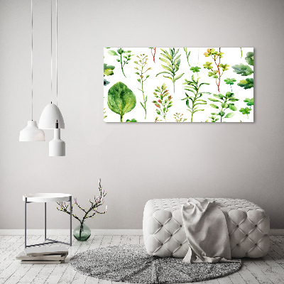 Foto op canvas Kruiden en onkruid