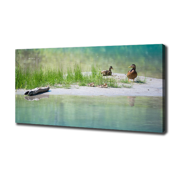 Foto canvas Eenden bij het water